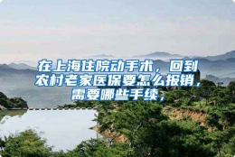 在上海住院动手术，回到农村老家医保要怎么报销，需要哪些手续，