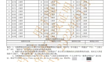 2022年新版查询上海养老保险参保缴费情况