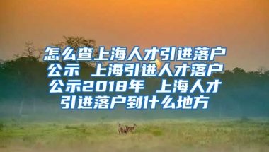 怎么查上海人才引进落户公示 上海引进人才落户公示2018年 上海人才引进落户到什么地方