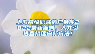 上海高级职称落户条件2022最新细则，人才引进直接落户新方法！