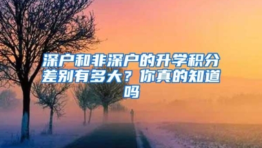 深户和非深户的升学积分差别有多大？你真的知道吗