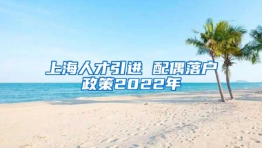 上海人才引进 配偶落户政策2022年