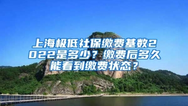 上海极低社保缴费基数2022是多少？缴费后多久能看到缴费状态？