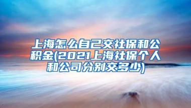 上海怎么自己交社保和公积金(2021上海社保个人和公司分别交多少)