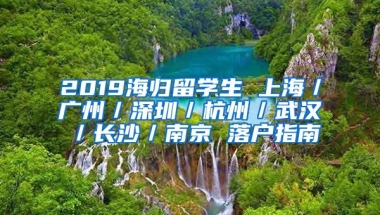 2019海归留学生 上海／广州／深圳／杭州／武汉／长沙／南京 落户指南