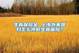 生育保险金 上海外来媳妇怎么领取生育保险？