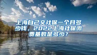 上海自己交社保一个月多少钱，2022上海社保缴费基数是多少？