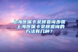 上海医保卡余额查询步骤 上海医保卡余额查询的方法有几种？