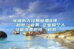 深圳市人社局新增8项“秒批”业务 企业和个人社保缴费也可“秒批”