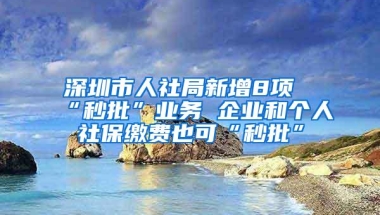 深圳市人社局新增8项“秒批”业务 企业和个人社保缴费也可“秒批”