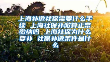 上海补缴社保需要什么手续 上海社保补缴算正常缴纳吗 上海社保为什么要补 社保补缴条件是什么