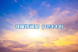 社保咨询员（12333）