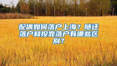 配偶如何落户上海？随迁落户和投靠落户有哪些区别？