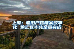 上海：老旧户籍档案数字化 徐汇区率先全量完成