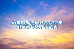 山东临沂平邑县2022年引进青年人才岗位表