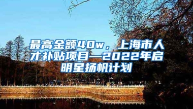 最高金额40w，上海市人才补贴项目—2022年启明星扬帆计划