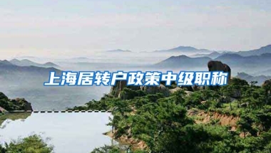 上海居转户政策中级职称