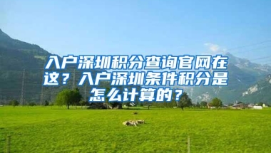 入户深圳积分查询官网在这？入户深圳条件积分是怎么计算的？