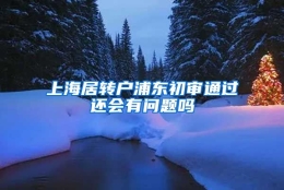 上海居转户浦东初审通过还会有问题吗