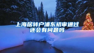 上海居转户浦东初审通过还会有问题吗