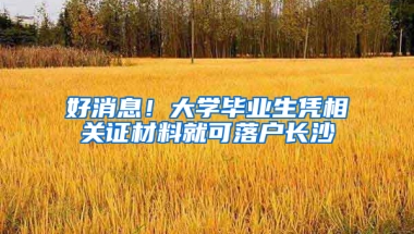 好消息！大学毕业生凭相关证材料就可落户长沙