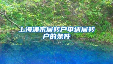 上海浦东居转户申请居转户的条件