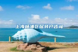 上海杨浦区居转户咨询