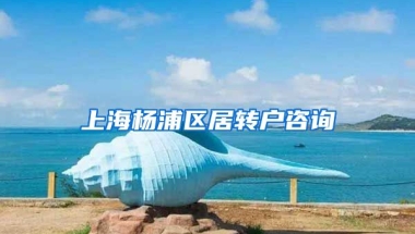 上海杨浦区居转户咨询