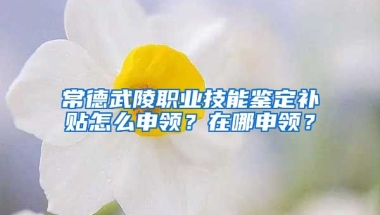 常德武陵职业技能鉴定补贴怎么申领？在哪申领？