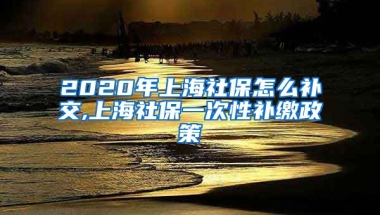 2020年上海社保怎么补交,上海社保一次性补缴政策