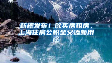 新规发布！除买房租房，上海住房公积金又添新用途