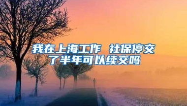 我在上海工作 社保停交了半年可以续交吗