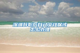 深圳辞职后自己交社保该怎么办理