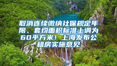 取消连续缴纳社保规定年限、套均面积标准上调为60平方米！上海发布公租房实施意见