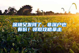 深圳又发钱了，非深户也有份！领取攻略拿走