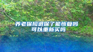 养老保险退保了能恢复吗 可以重新买吗