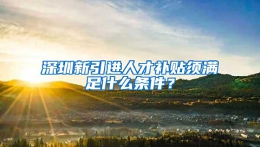 深圳新引进人才补贴须满足什么条件？