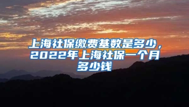 上海社保缴费基数是多少，2022年上海社保一个月多少钱