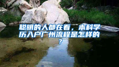 聪明的人都在看，本科学历入户广州流程是怎样的？