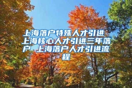 上海落户特殊人才引进 上海核心人才引进三年落户 上海落户人才引进流程