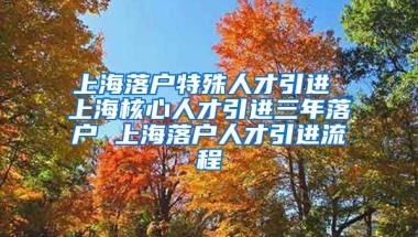 上海落户特殊人才引进 上海核心人才引进三年落户 上海落户人才引进流程