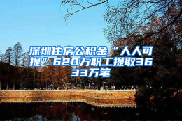 深圳住房公积金“人人可提”620万职工提取3633万笔