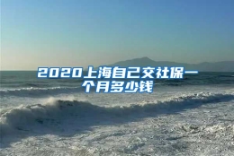 2020上海自己交社保一个月多少钱