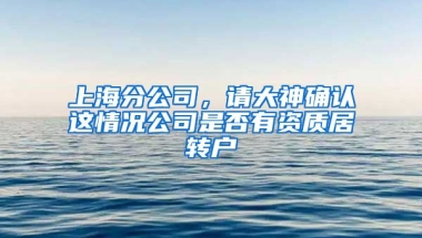 上海分公司，请大神确认这情况公司是否有资质居转户