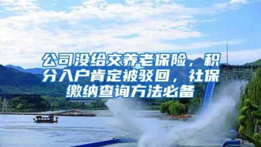 公司没给交养老保险，积分入户肯定被驳回，社保缴纳查询方法必备