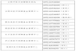 合肥医保公共服务事项说明！涉及门诊慢性病申请、生育保险等