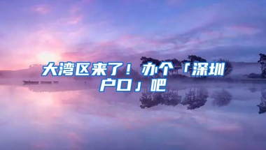 大湾区来了！办个「深圳户口」吧