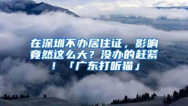 在深圳不办居住证，影响竟然这么大？没办的赶紧！「广东打听猫」