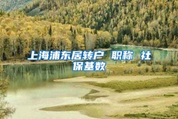 上海浦东居转户 职称 社保基数