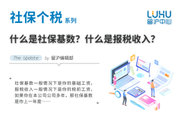 什么是社保基数？什么是报税收入？